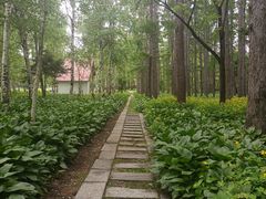 -黑龙江省森林植物园