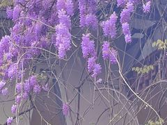 -郑和公园