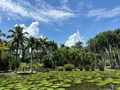 -中国科学院西双版纳热带植物园