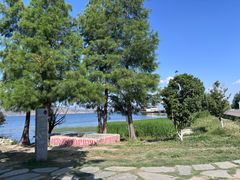 -才村湿地公园
