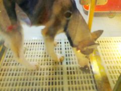 -乐宠宠物店(世纪金源店)