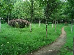 android_upload_pic-洪都公园