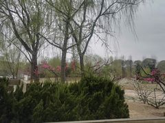 景点-望湖公园