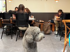-沏点Trattoria意大利餐厅(新街口店)