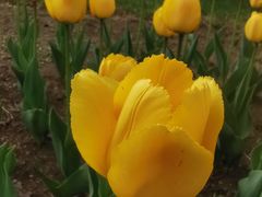 -长春公园(普阳街道)