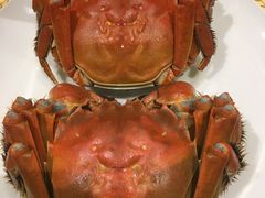 -王宝和酒家(黄浦店)