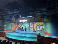 -重庆欢乐海底世界