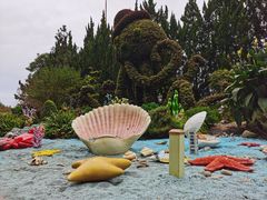 -东平国家森林公园
