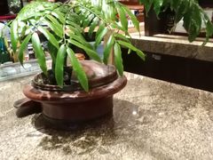 -南堂館川菜文化餐厅(天府店)