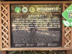 -西双版纳原始森林公园