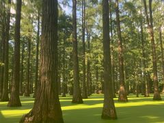 -渌洋湖湿地公园