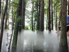-东湖落雁景区