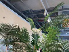 -卡朋西餐(悦汇城店)