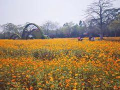 -海珠湖公园