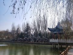 -金城公园