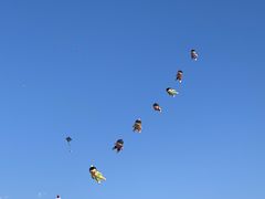 -丁香湖公园