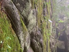 -青峰峡国家森林公园