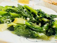 -煲来饱去冷水鱼