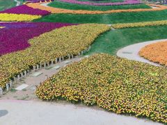 -南通洲际绿博园