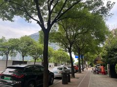 -唐城墙遗址公园