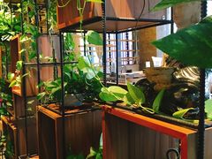 -喜越泰莱·泰越料理(海逸新天地店)