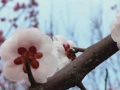 -长广溪湿地公园