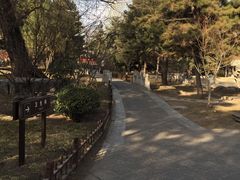 -晋祠公园