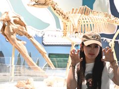 -厦门诚毅自然探索馆