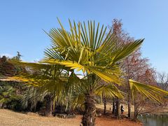 -浙江农林大学(东湖校区)