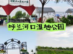 -呼兰河口湿地公园