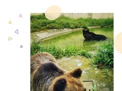-上方山森林动物世界