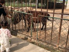 -祥源·阜阳生态乐园