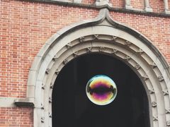 -上海佘山国家森林公园西佘山园