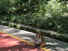 -黔灵山公园