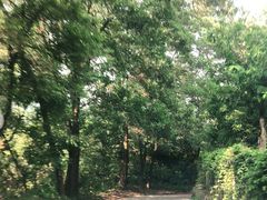 -广州市帽峰山景区