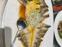 -海派美食·家宴海鲜青岛菜·石锅鲽鱼头(东方城店)