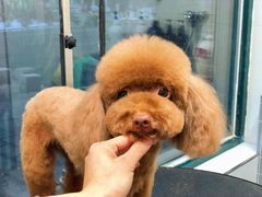 -宠颐生动物医院·心脏科·保险定点(锦阳分院)