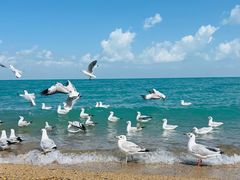 -青海湖国家重点风景名胜区
