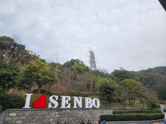 -杭州开元森泊度假乐园