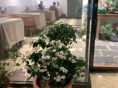 -茶油香闽南菜·花园餐厅(前埔店)