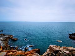 -广东惠东海龟国家级自然保护区