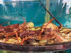 -莆鑫海鲜城(浏河店)