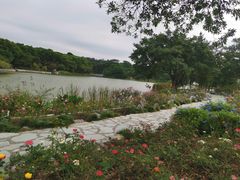 -东莞植物园
