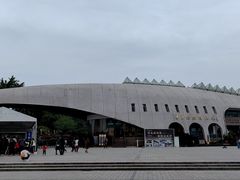 -自贡恐龙博物馆