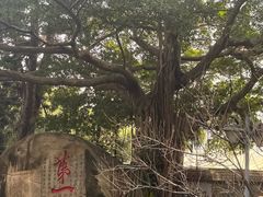 -乌山风景区