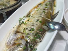 -来相会饺子·新辽菜(甘家口店)