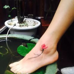 植物 小荷初露尖尖角-游刃刺青TATTOO纹身工作室
