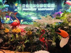 -正佳雨林生态植物园