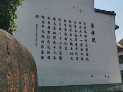 -东梓关景区村庄