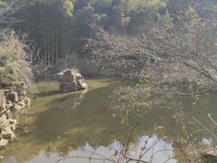 -穹窿山景区